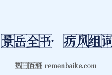景岳全书·疠风组词是什么意思的图片